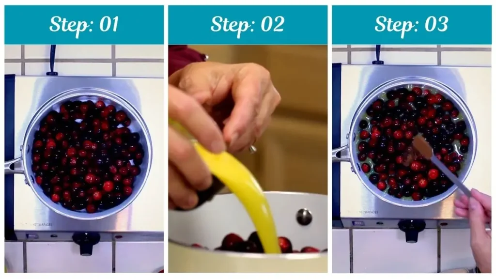 Step by Step McAlister's Cranberry Orange Sauce Recipe